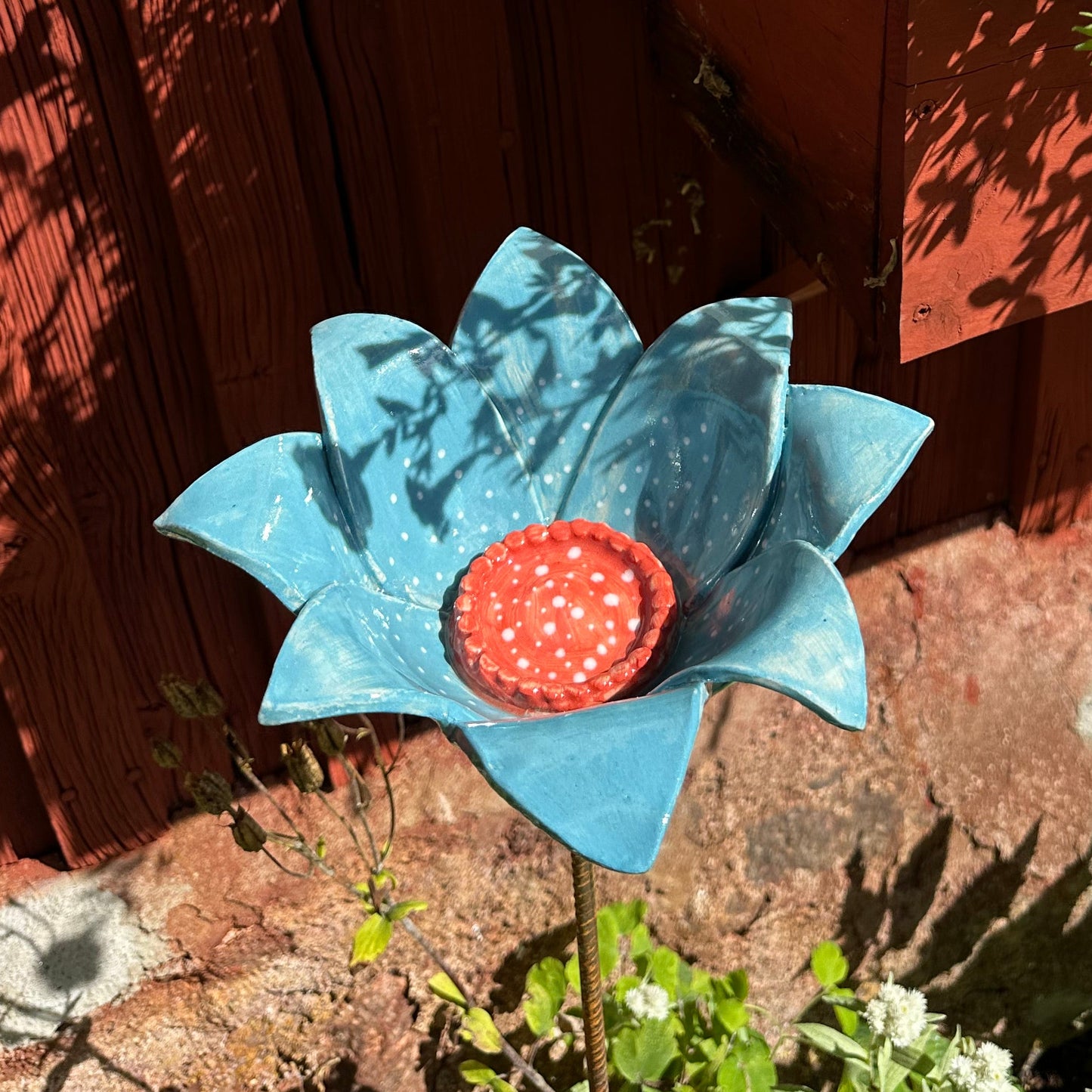 Bi och insektsvattnare