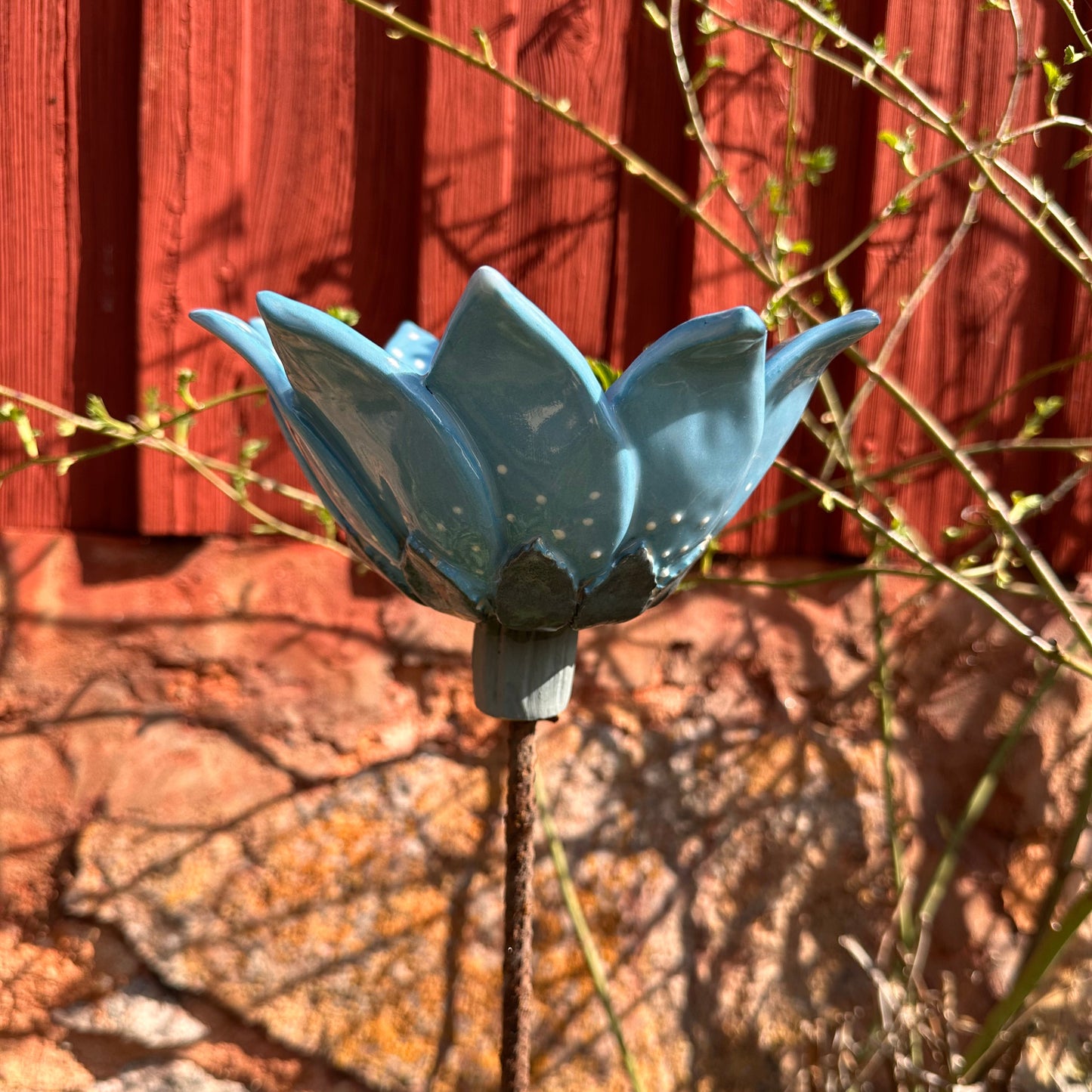 Bi och insektsvattnare