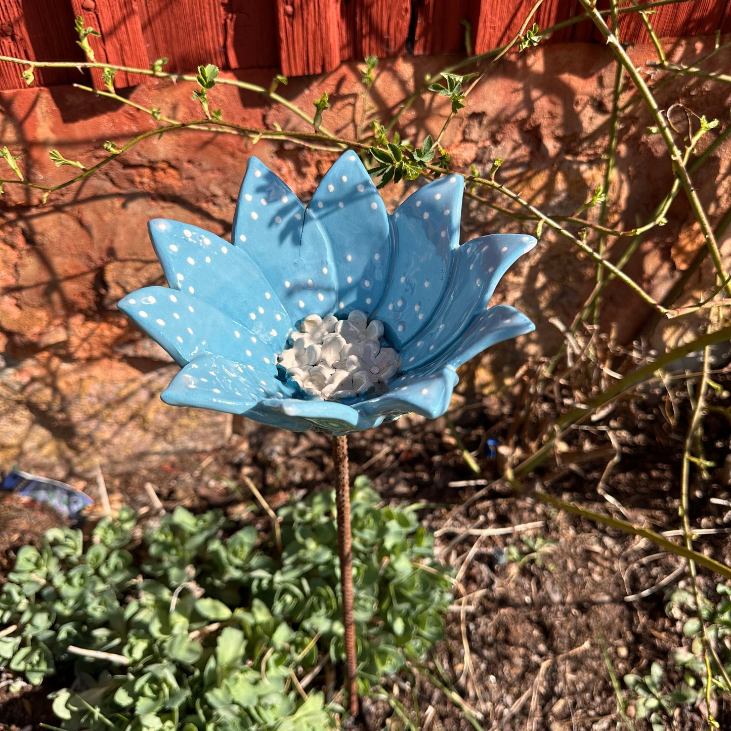 Bi och insektsvattnare